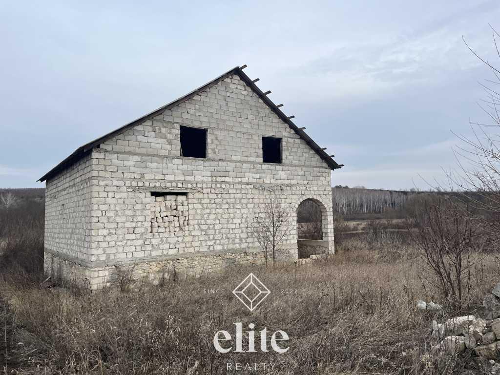 elite realty image