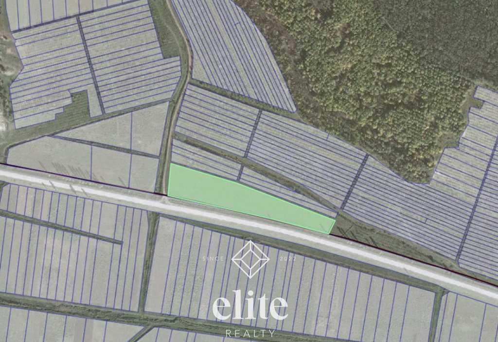 elite realty image