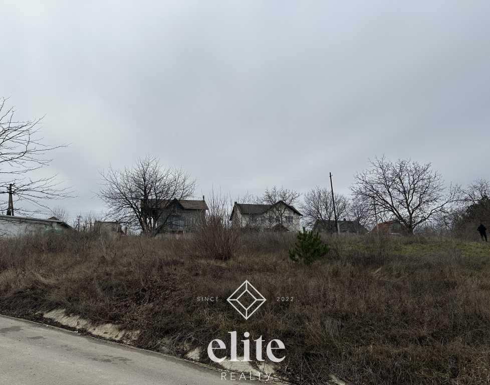 elite realty image