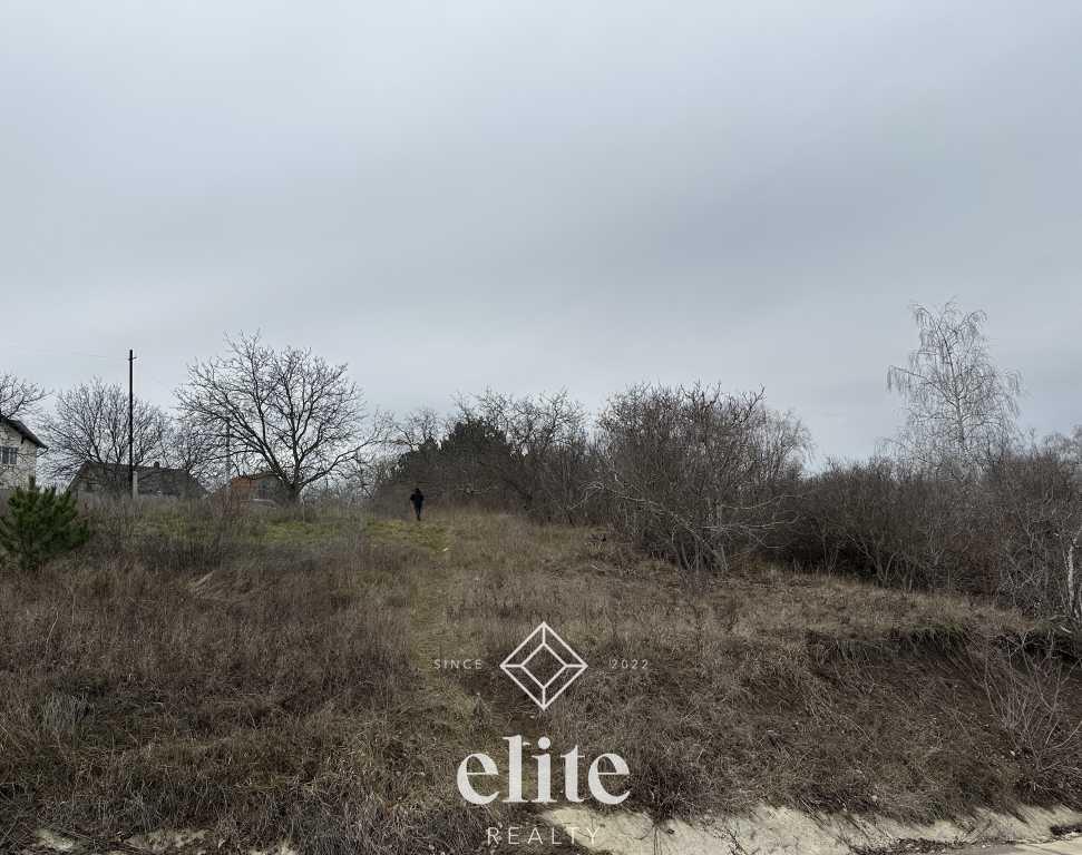elite realty image