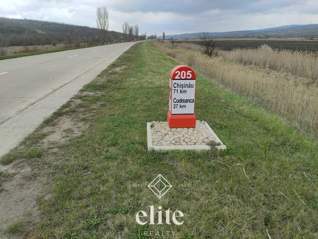elite realty image