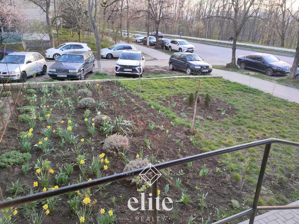 elite realty image