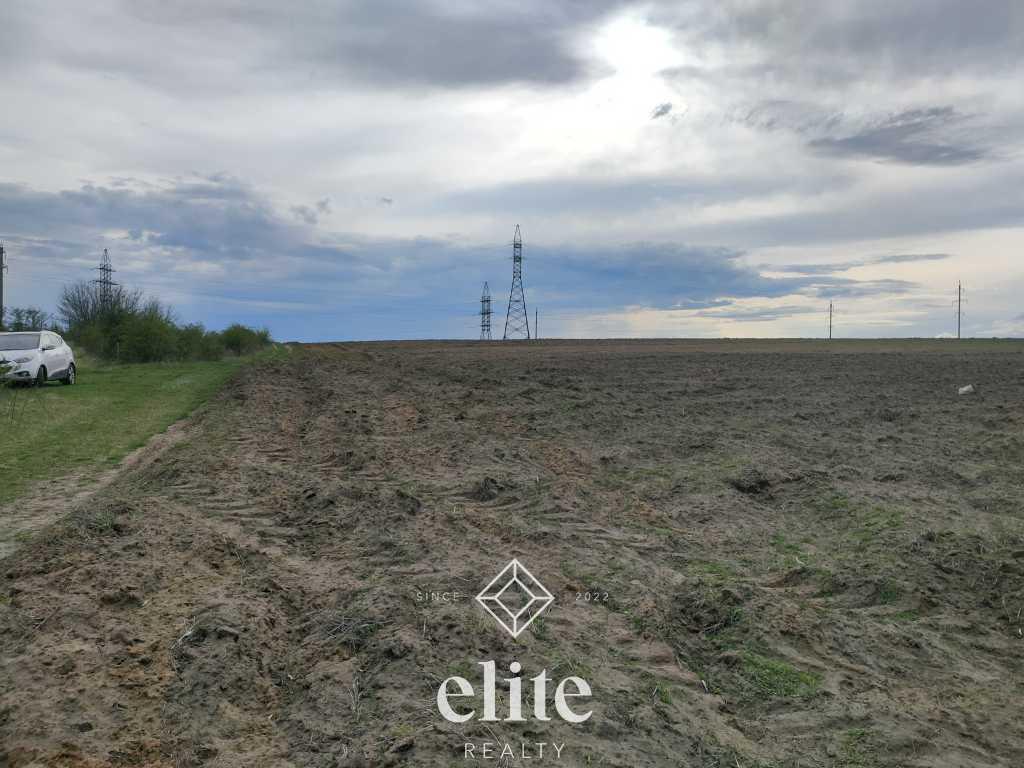 elite realty image