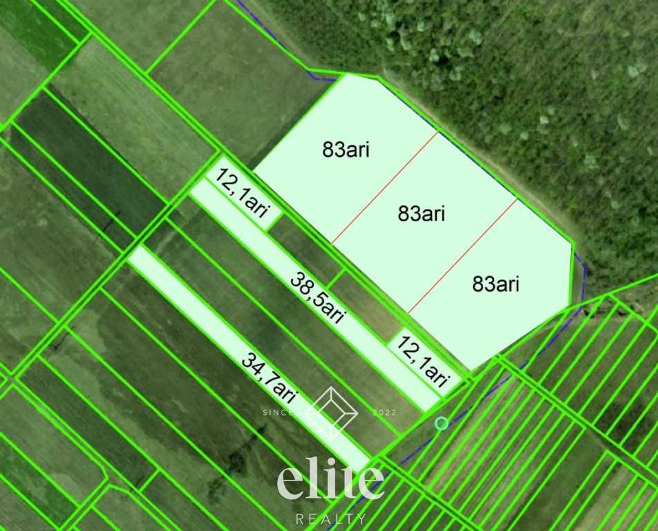 elite realty image