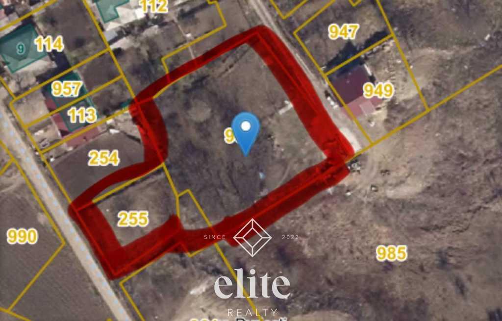 elite realty image