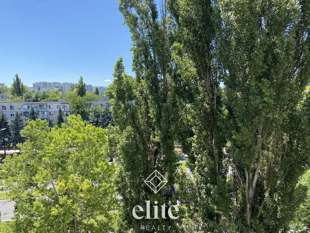 elite realty image