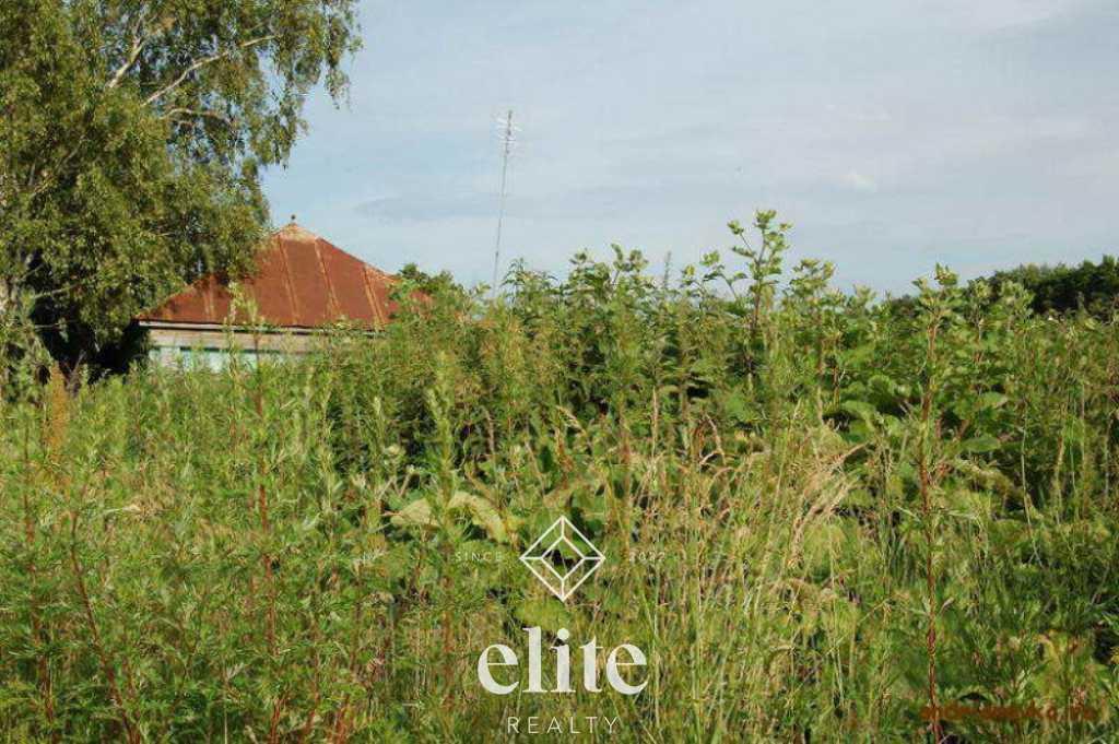 elite realty image
