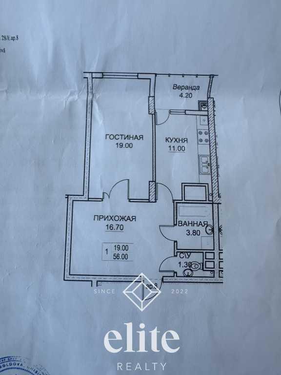 elite realty image