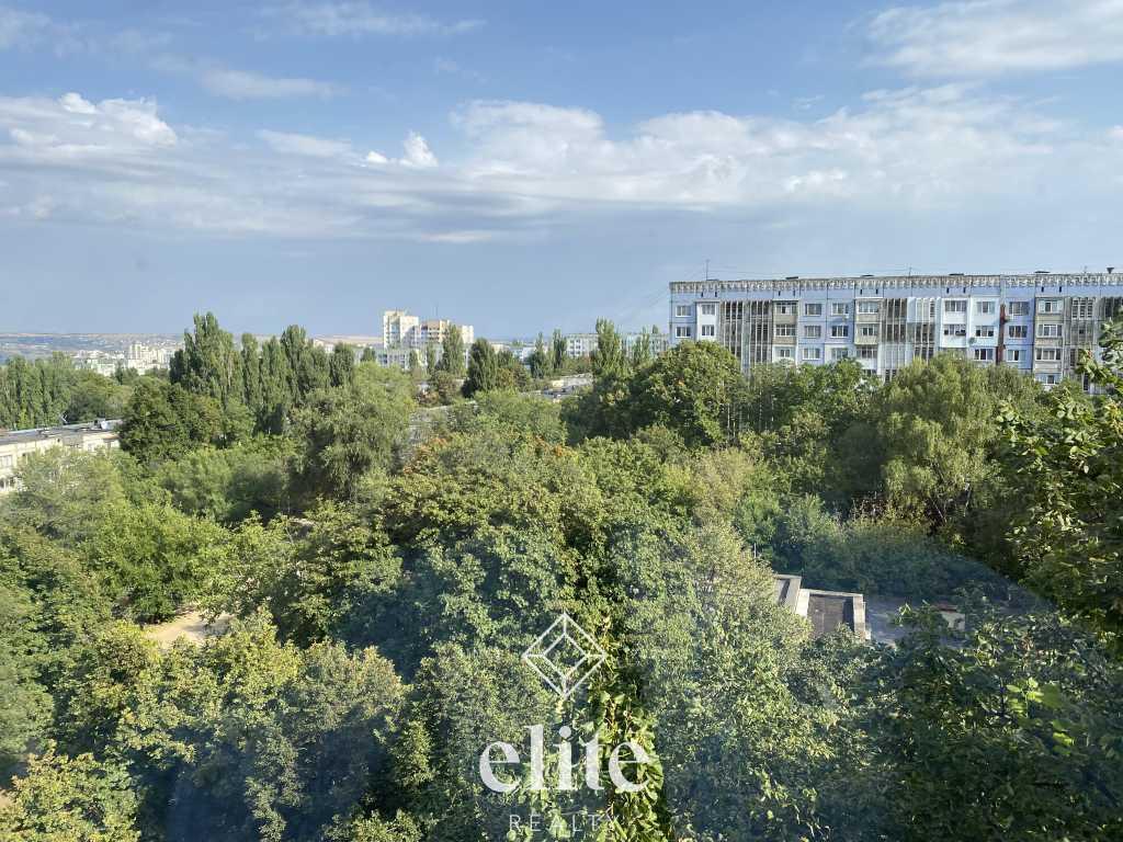 elite realty image