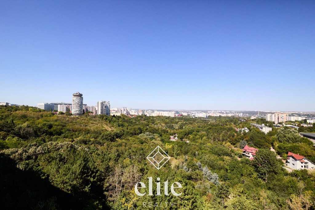elite realty image
