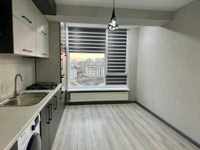 elite realty image