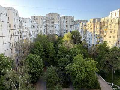 elite realty image