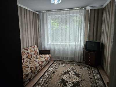 elite realty Str. Ceucari
