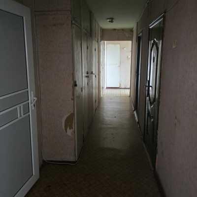 elite realty image