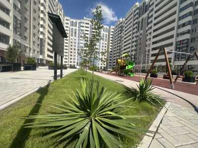 elite realty Str. Vasile Lupu