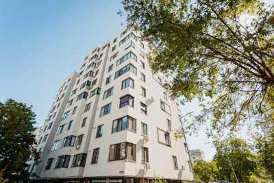 elite realty Str. Petru Zadnipru