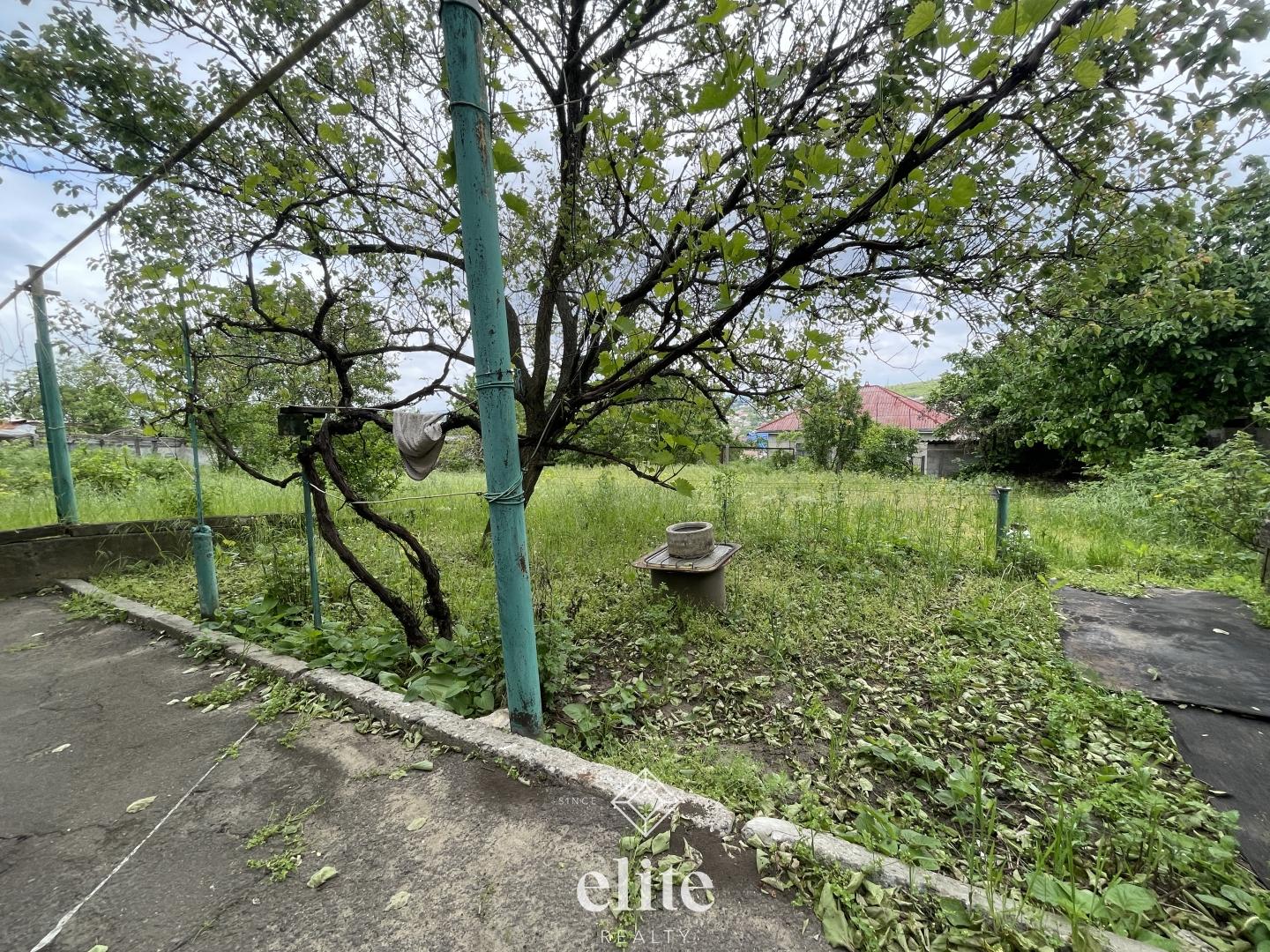 elite realty image