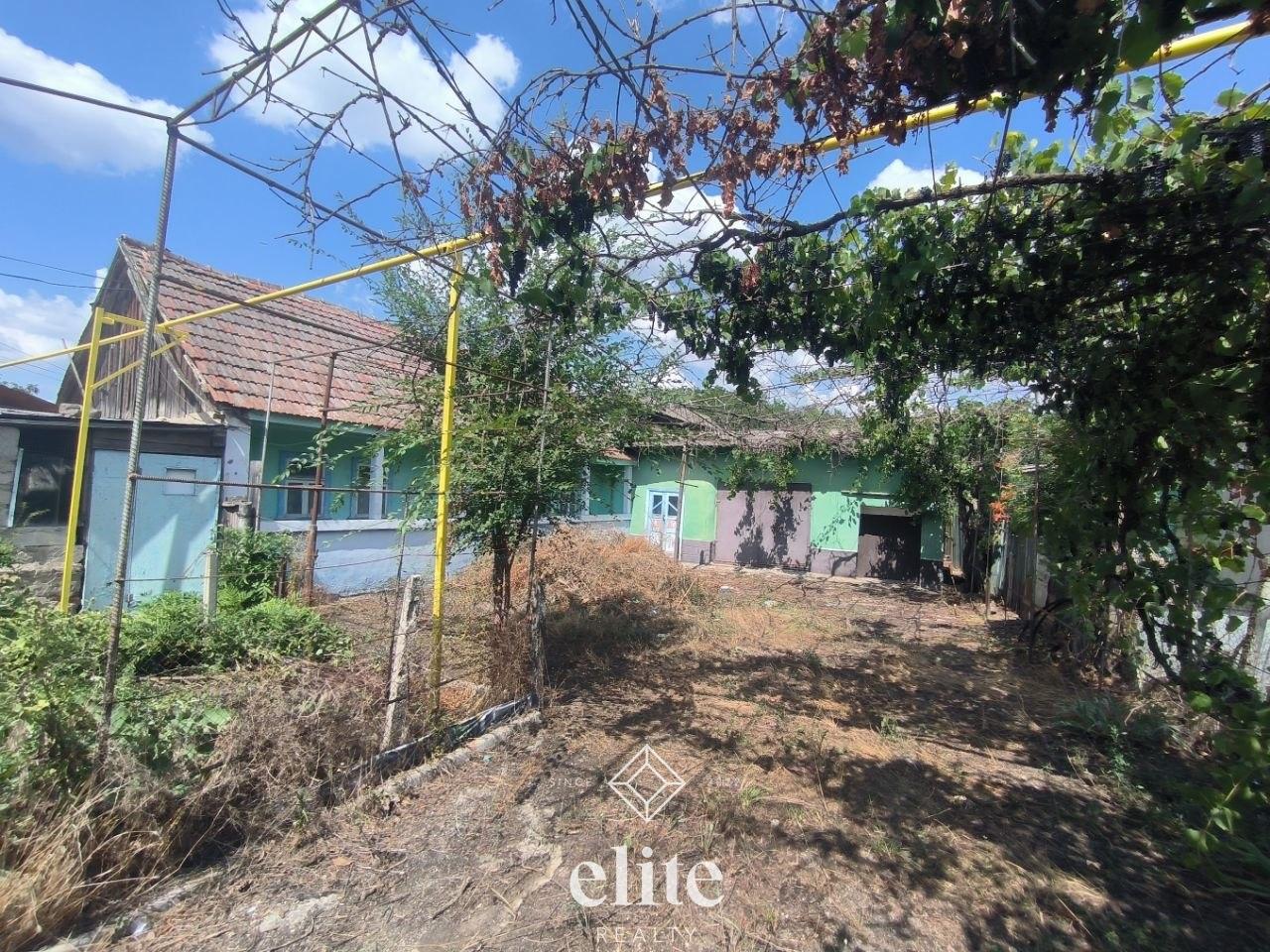 elite realty image