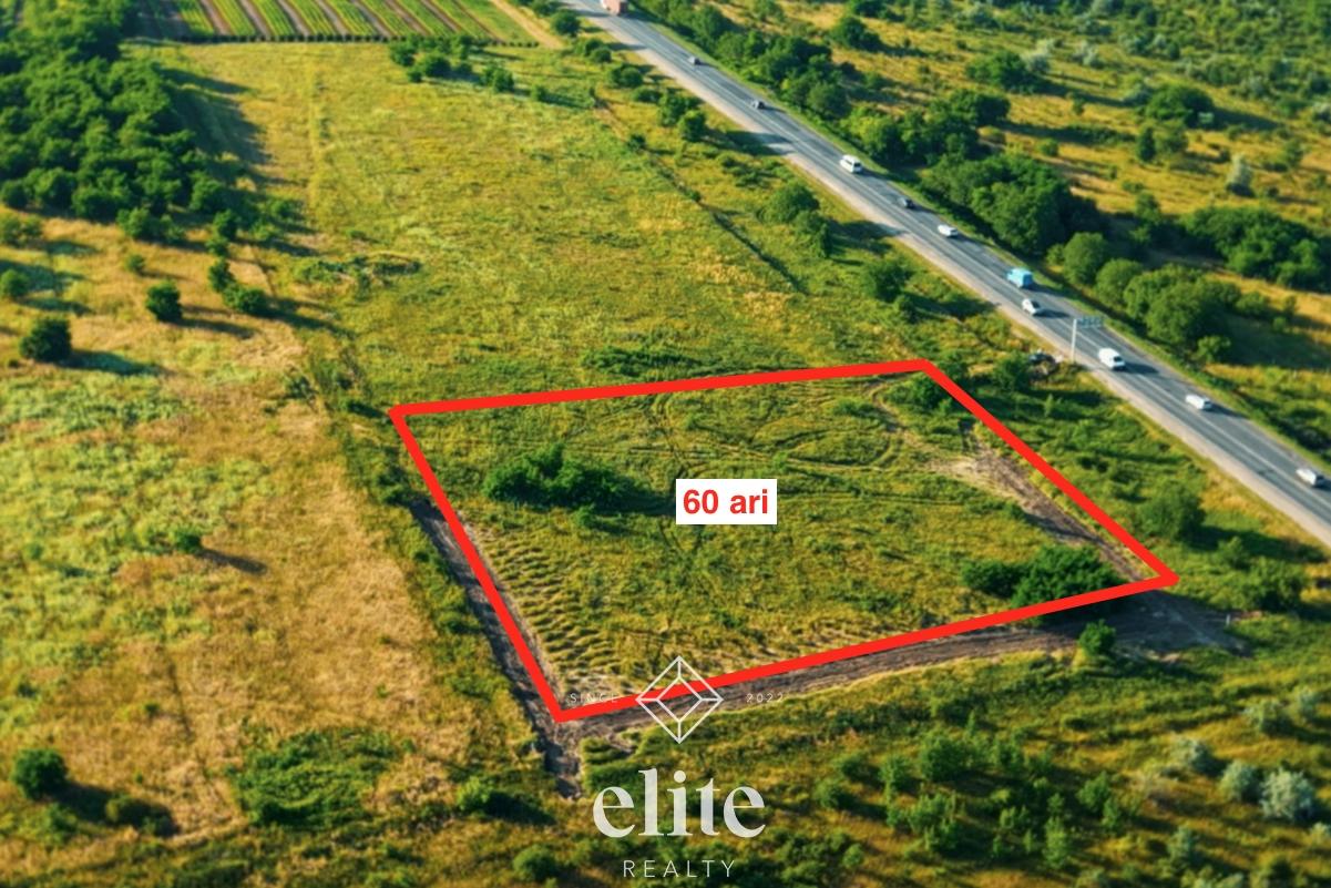 elite realty image