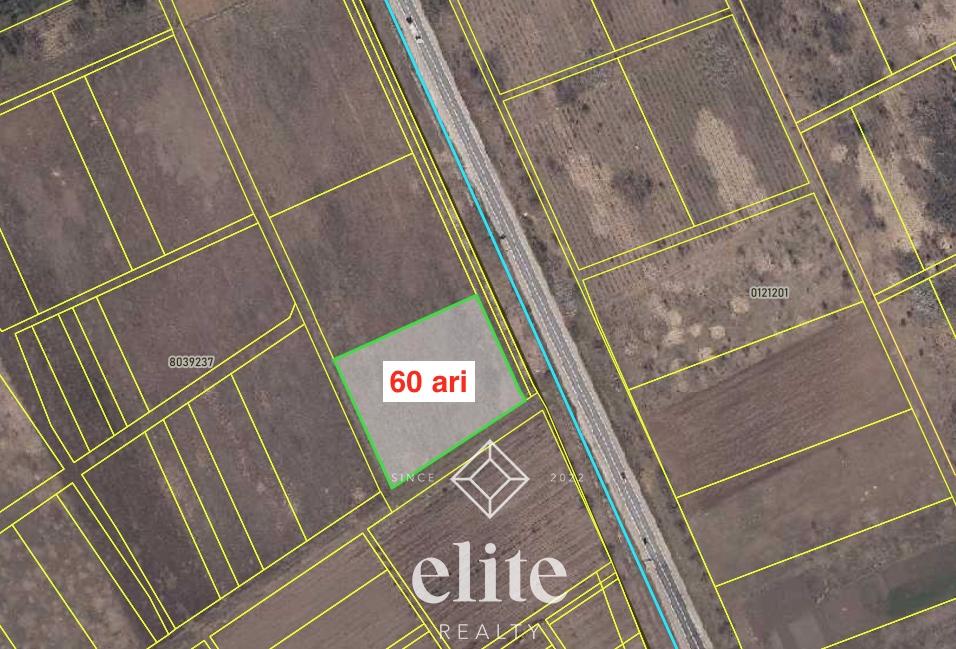 elite realty image